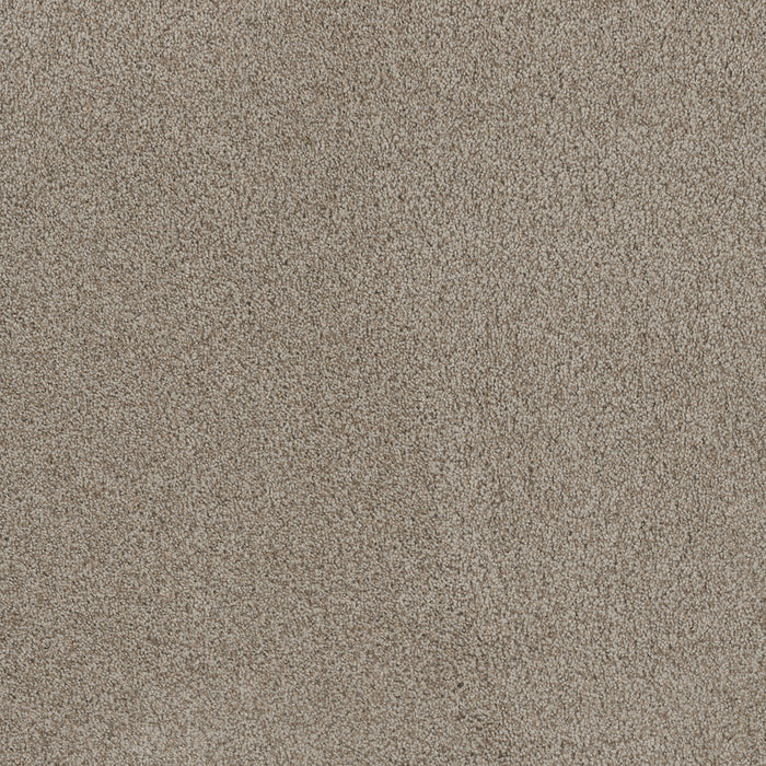 Titan III Polyester Stucco 905 Carpet Textured 1