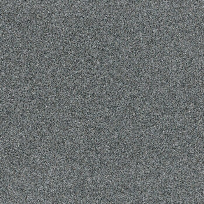 Titan III Polyester Galactic 919 Carpet Textured 1