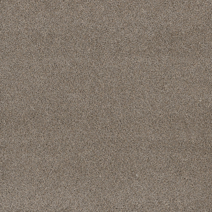 Titan III Polyester Ash 945 Carpet Textured 1