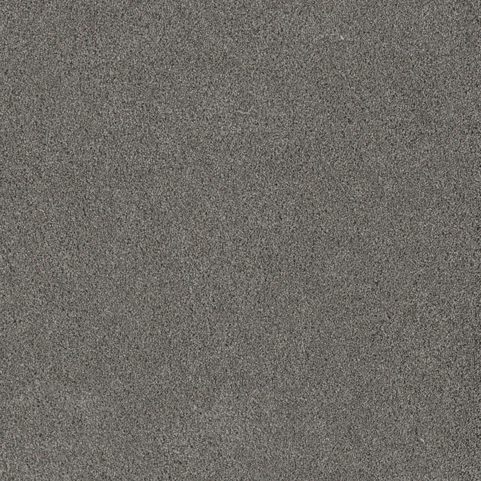Stunning Polyester Orion 955 Carpet Textured 1