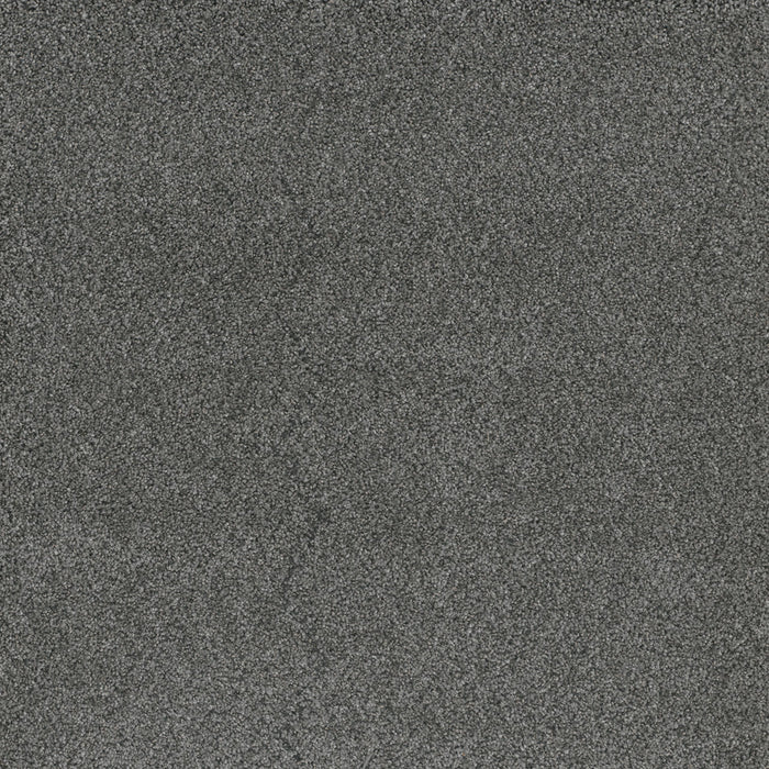Titan III Polyester Zinc 959 Carpet Textured 1