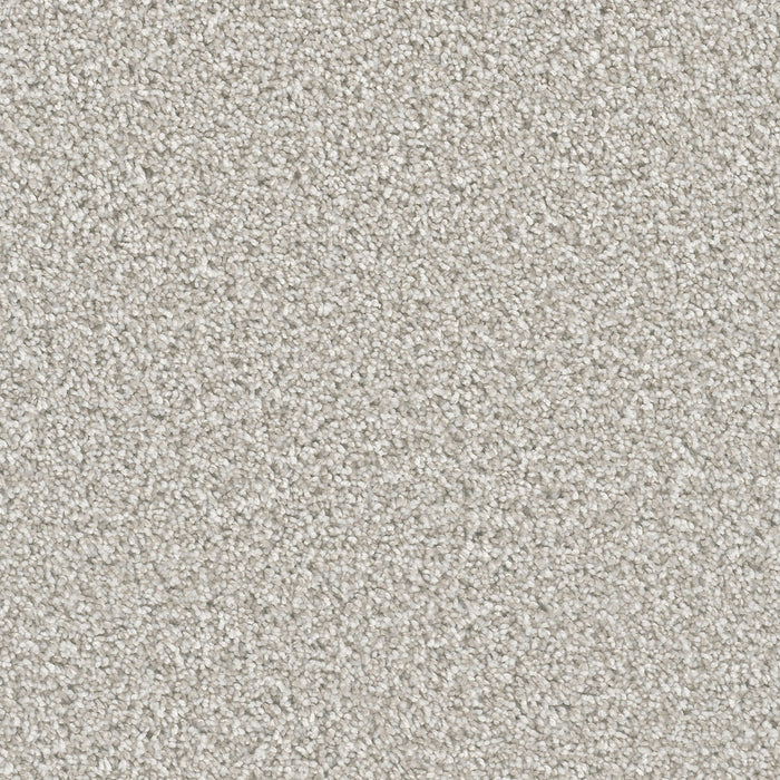 Dazzling Polyester Porcelain 486 Carpet Textured 1
