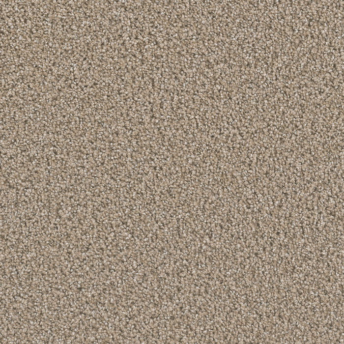 Dazzling Polyester Straw 551 Carpet Textured 1