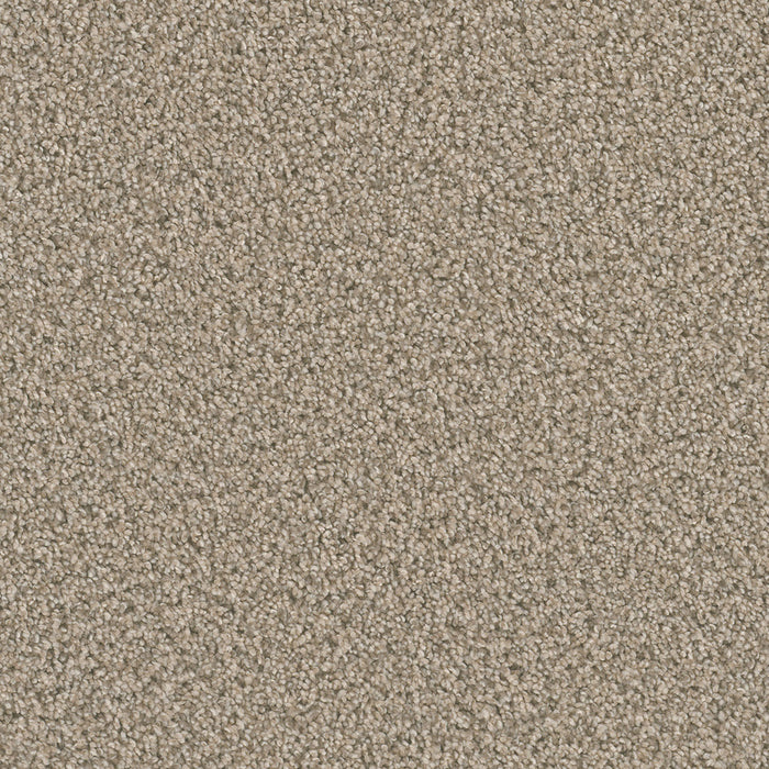Dazzling Polyester Oxford 720 Carpet Textured 1