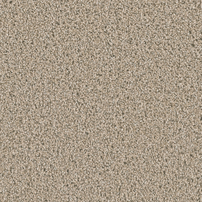 Dazzling Polyester Ginger 726 Carpet Textured 1