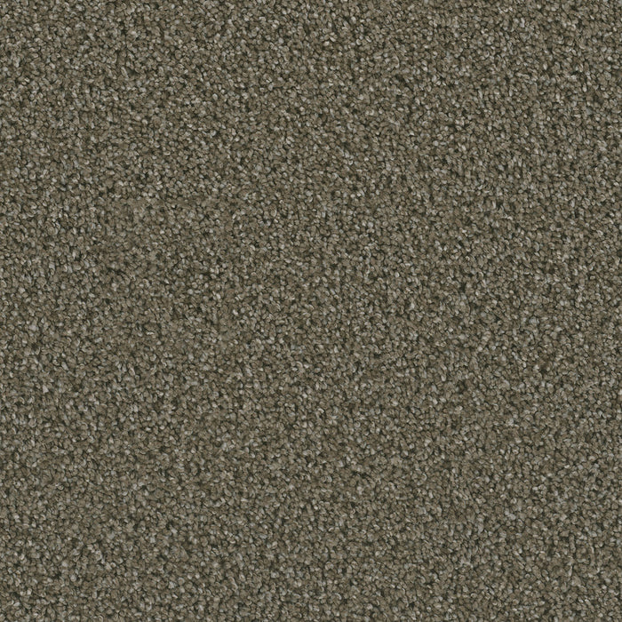 Dazzling Polyester Peppercorn 753 Carpet Textured 1