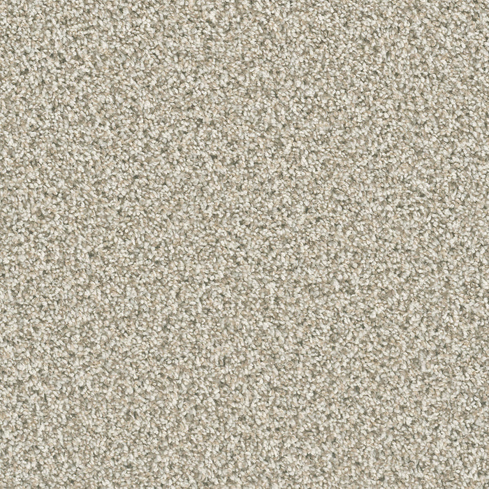 Dazzling Polyester Seashells 758 Carpet Textured 1