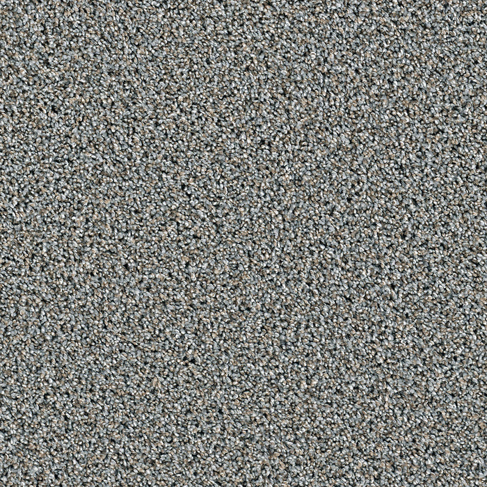 Dazzling Polyester Iron Frost 815 Carpet Textured 1