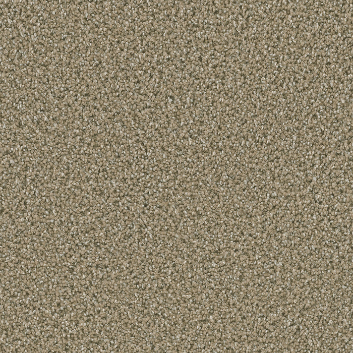 Dazzling Polyester Wicker 825 Carpet Textured 1