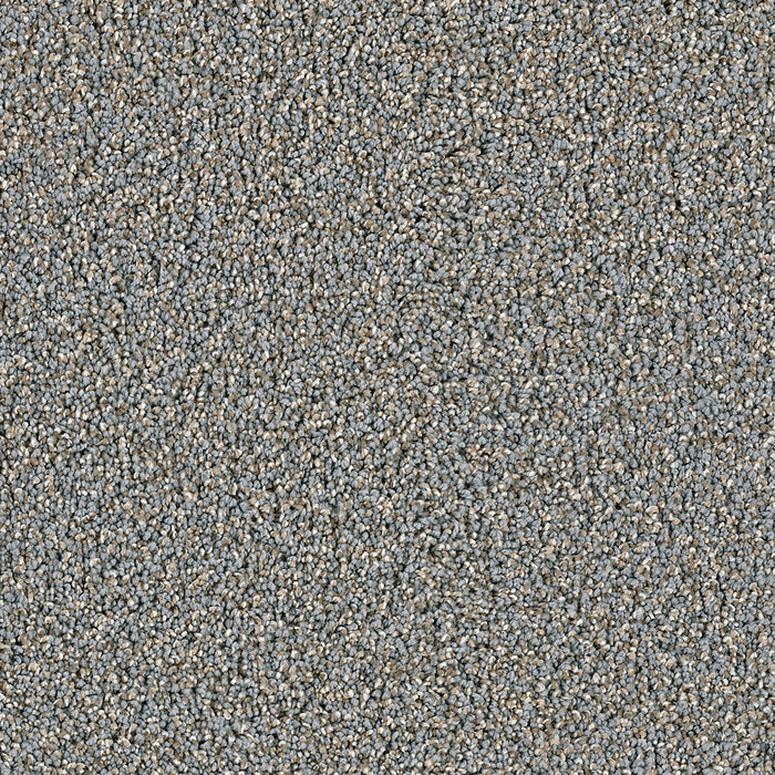 Dazzling Polyester Shadows 826 Carpet Textured 1