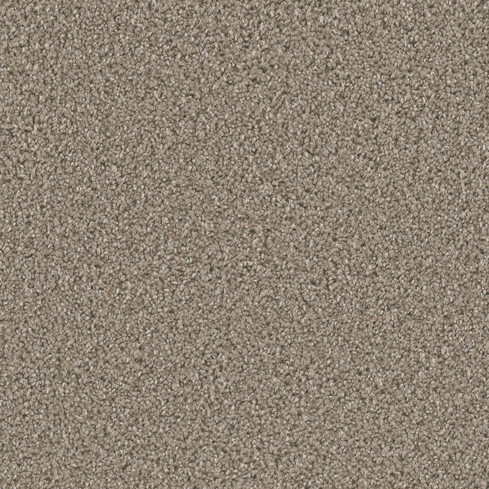 Dazzling Polyester Tumbleweed 883 Carpet Textured 1