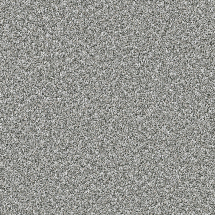 Dazzling Polyester Moonstone 903 Carpet Textured 1