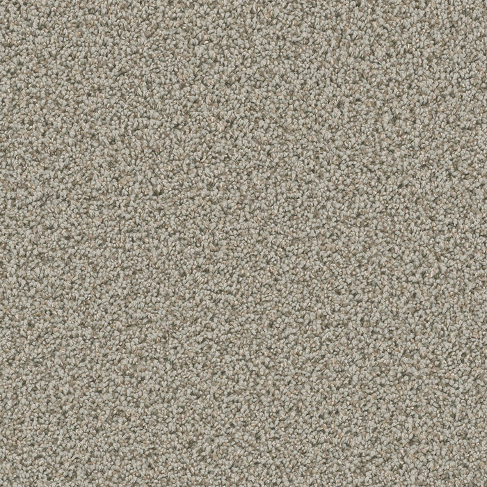 Dazzling Polyester Stucco 905 Carpet Textured 1