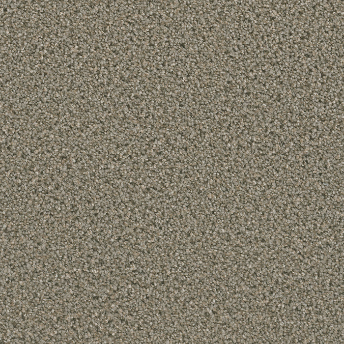 Dazzling Polyester Ash 945 Carpet Textured 1