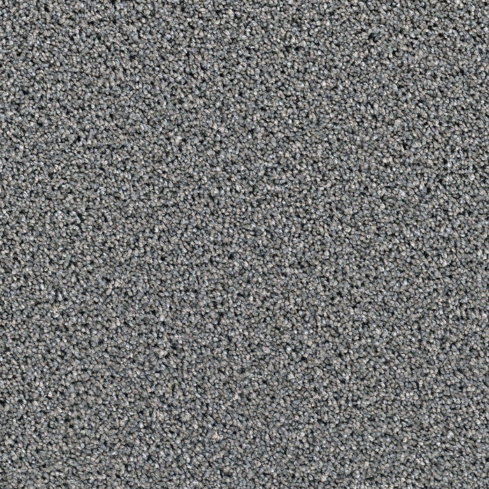 Dazzling Polyester Orion 955 Carpet Textured 1