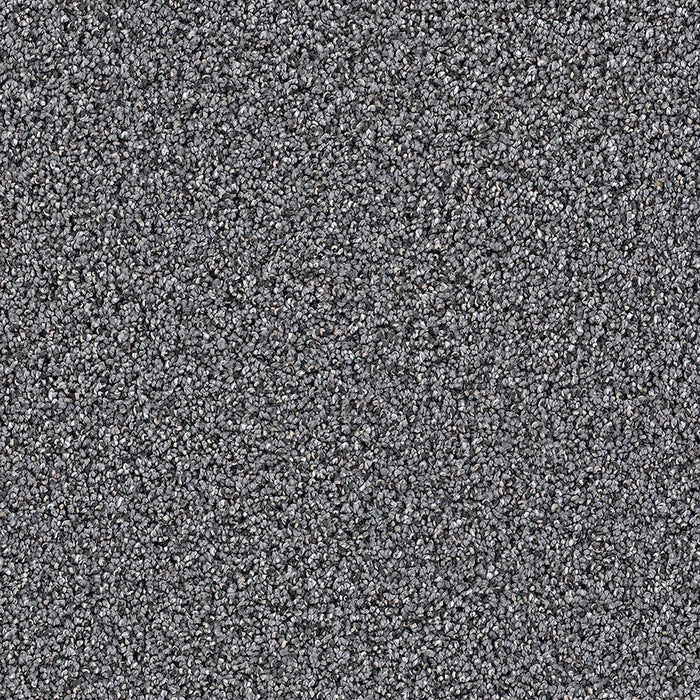 Dazzling Polyester Zinc 959 Carpet Textured 1