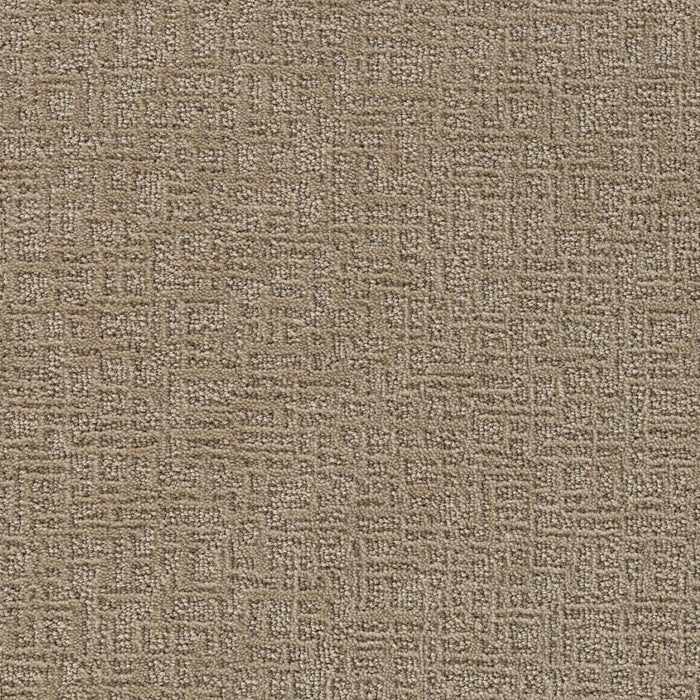 Newcastle Polyester Sand Key 736 Carpet Loop 1