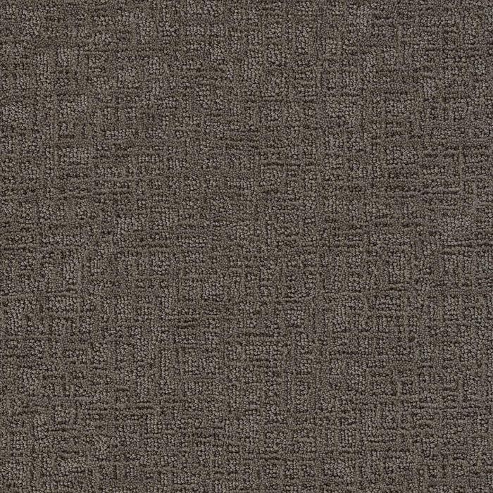 Newcastle Polyester Dark Clove 801 Carpet Loop 1