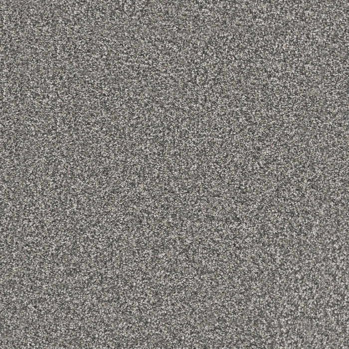 Windy City I Polyester Millstone 1970 Carpet Textured 1