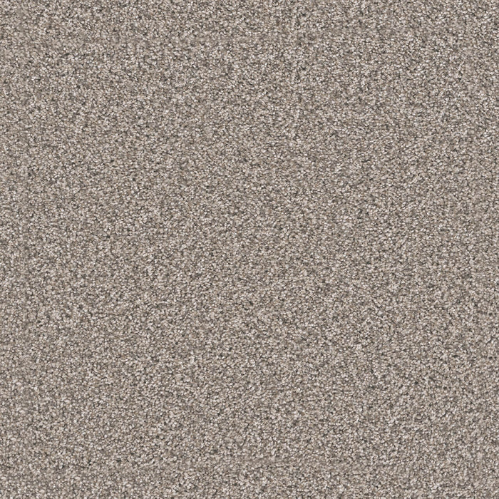 Windy City III Polyester Sageview 3270 Carpet Textured 1