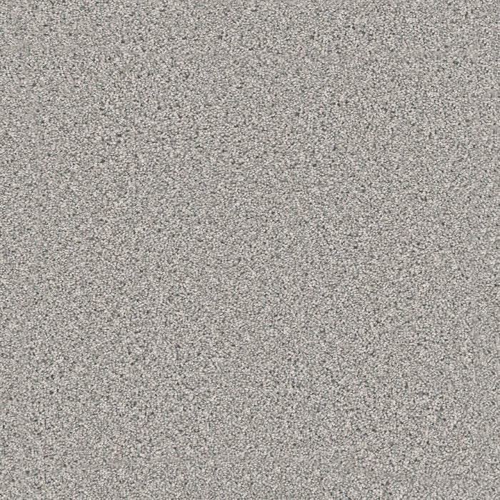 Windy City III Polyester Moon Rise 4145 Carpet Textured 1