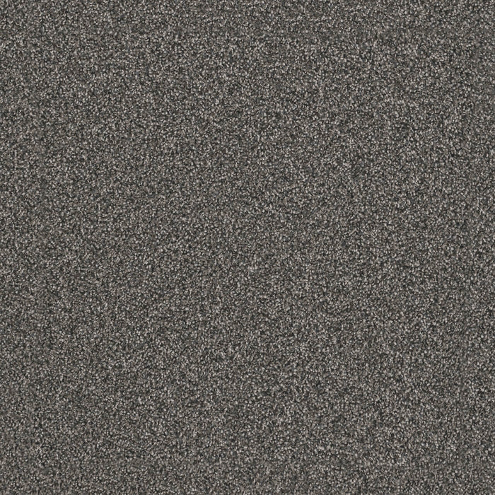 Windy City III Polyester Smoky Quartz 4180 Carpet Textured 1
