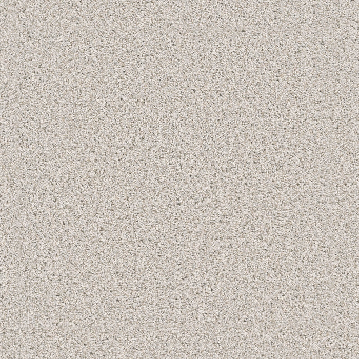 Windy City I Polyester Classico 5046 Carpet Textured 1