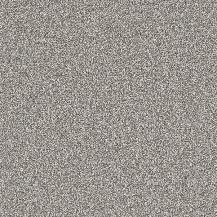 Windy City III Polyester Zephyr 5054 Carpet Textured 1