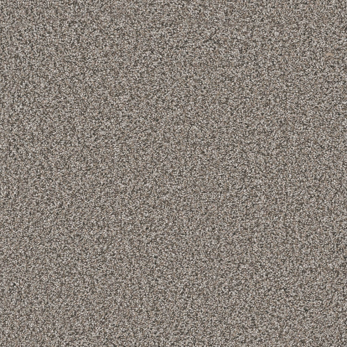 Windy City III Polyester Mesa Falls 6028 Carpet Textured 1