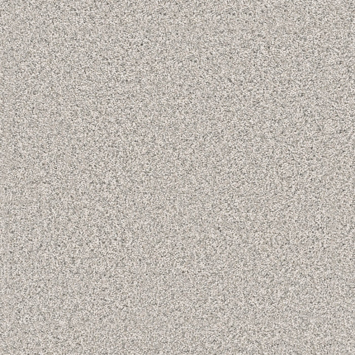 Windy City I Polyester Polar Cap 6057 Carpet Textured 1