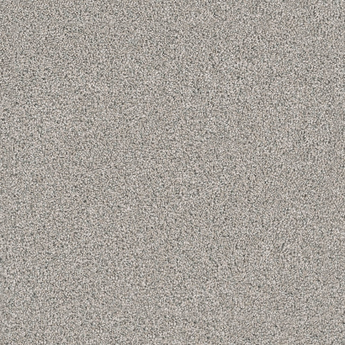 Windy City III Polyester Falling Star 6069 Carpet Textured 1