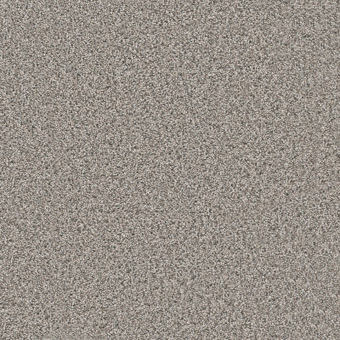 Windy City I Polyester Cottonwood 6107 Carpet Textured 1