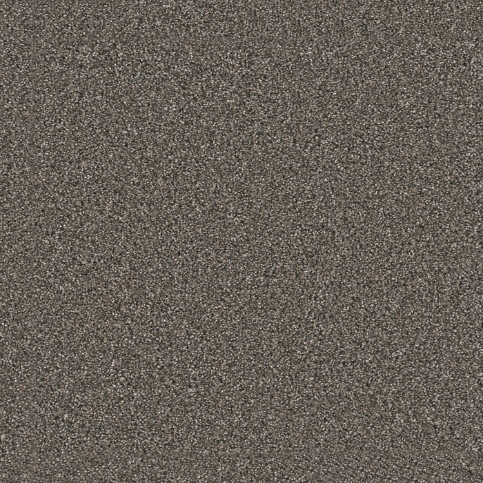 Windy City III Polyester Rugby 6112 Carpet Textured 1