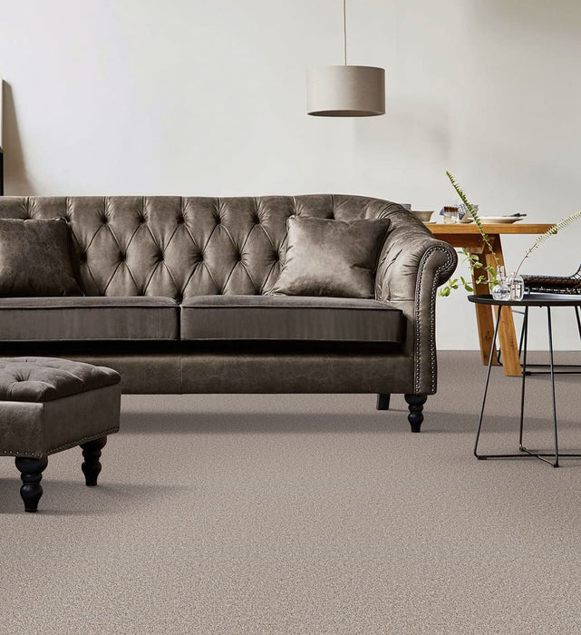 Windy City III Polyester Marble Glaze 6048 Carpet Textured 2