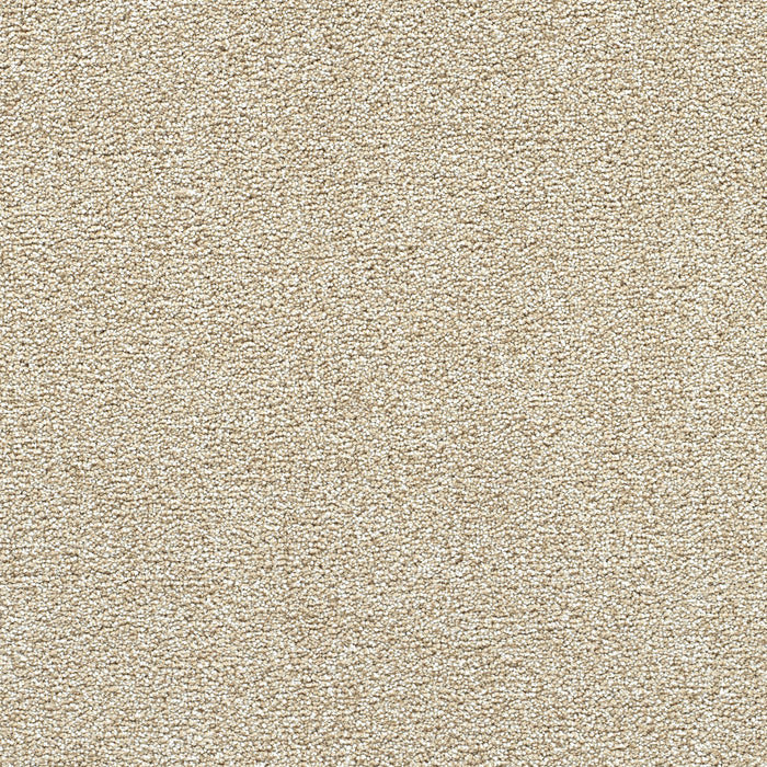 Breakview II Polyester Coconut Shell 2931 Carpet Textured 1