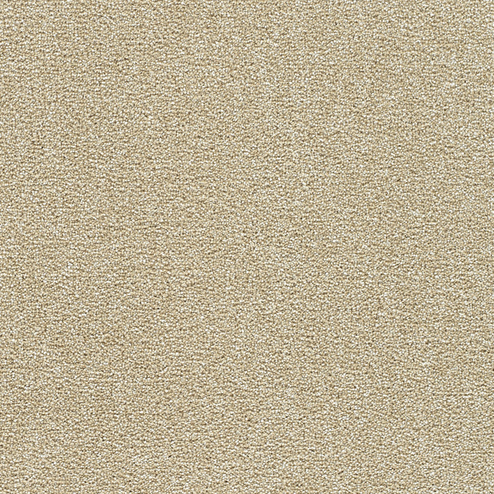 Breakview I Polyester Sunflower 2947 Carpet Textured 1