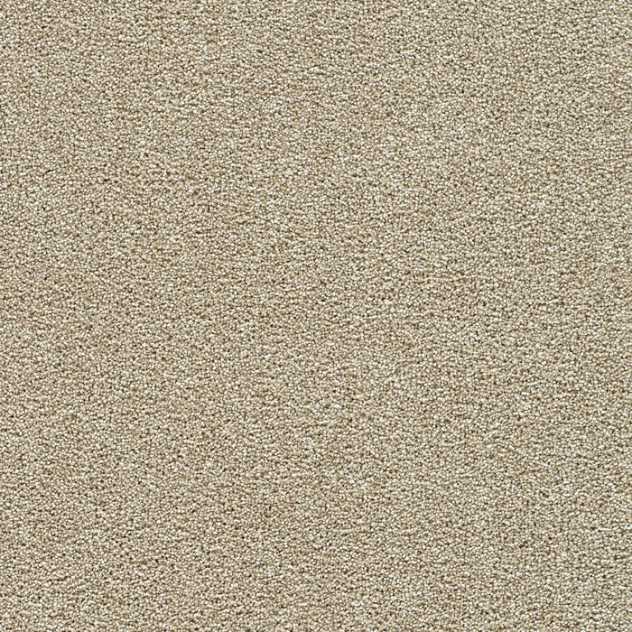 Breakview I Polyester Spiced Apple 2984 Carpet Textured 1