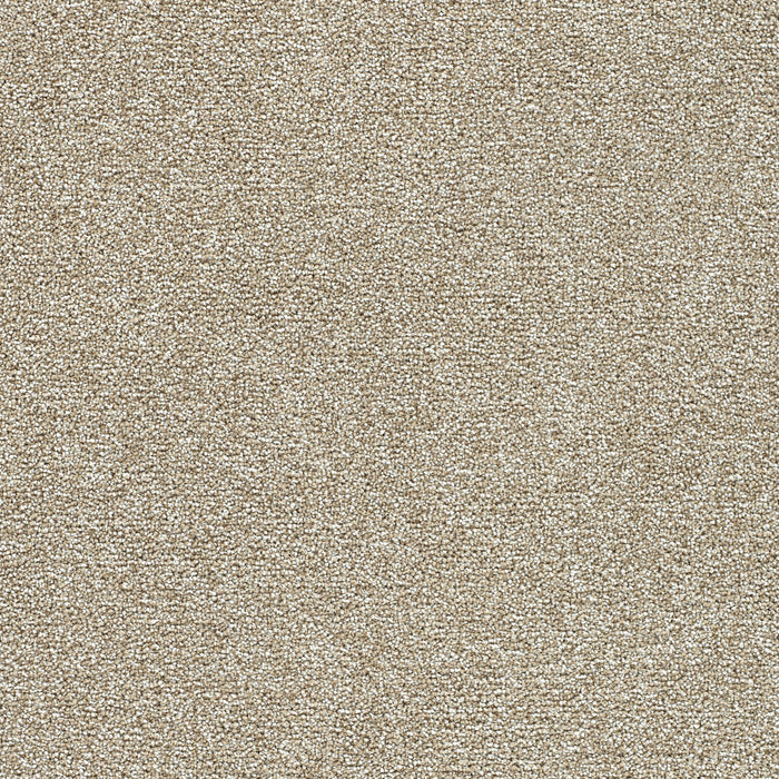 Breakview I Polyester Grounded 4040 Carpet Textured 1