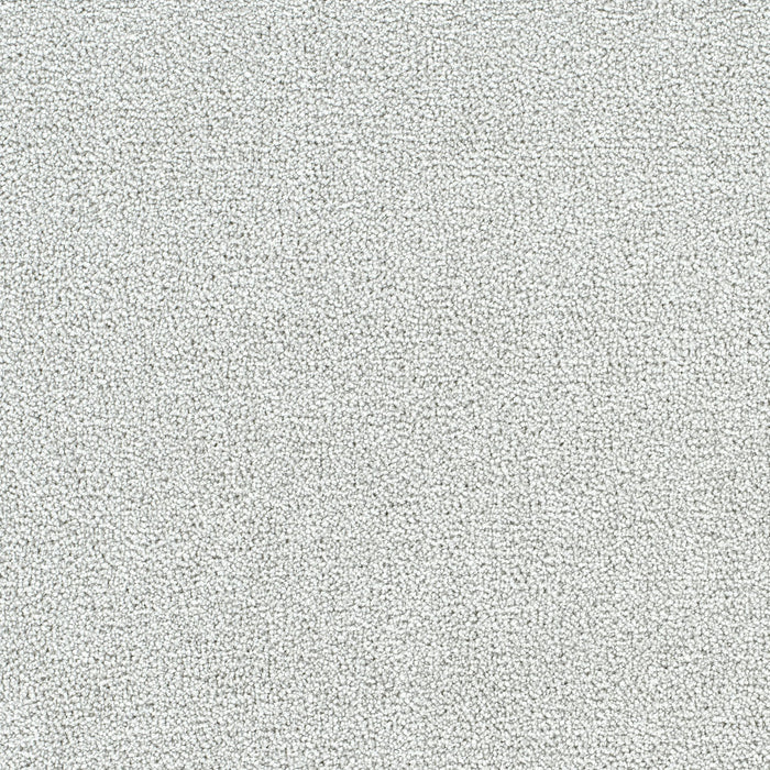 Breakview I Polyester Milestone 4048 Carpet Textured 1