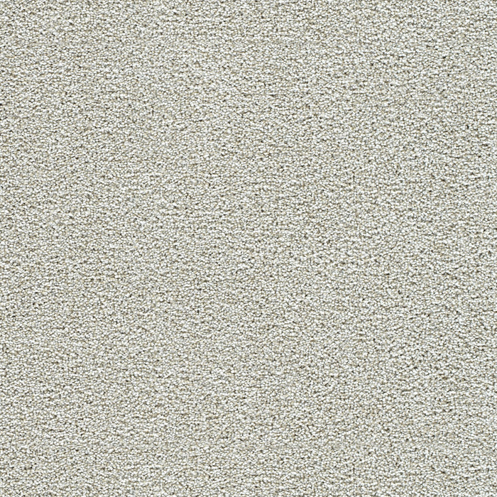 Breakview I Polyester Shelburne 4198 Carpet Textured 1