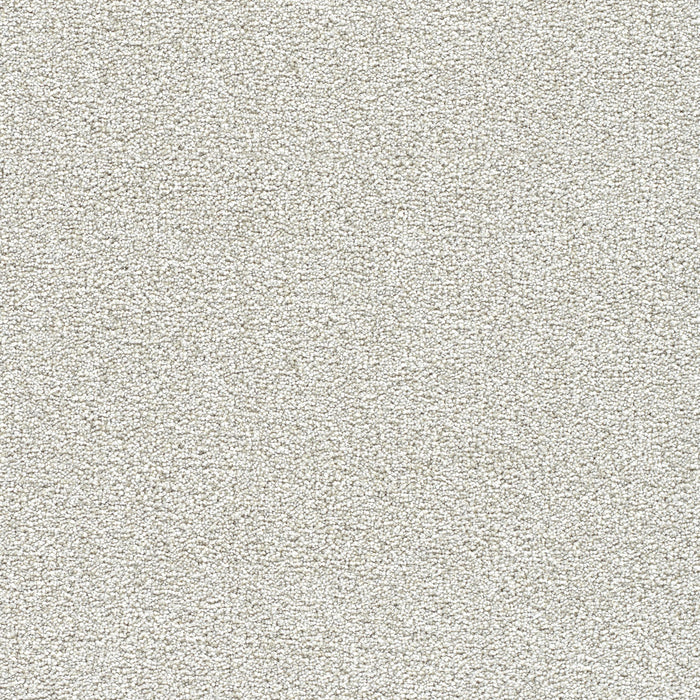 Breakview I Polyester Peaceful 4262 Carpet Textured 1