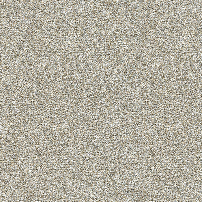 Breakview I Polyester Jersey 4429 Carpet Textured 1