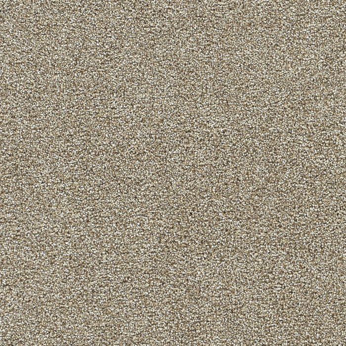 Breakview I Polyester Pine Log 4526 Carpet Textured 1