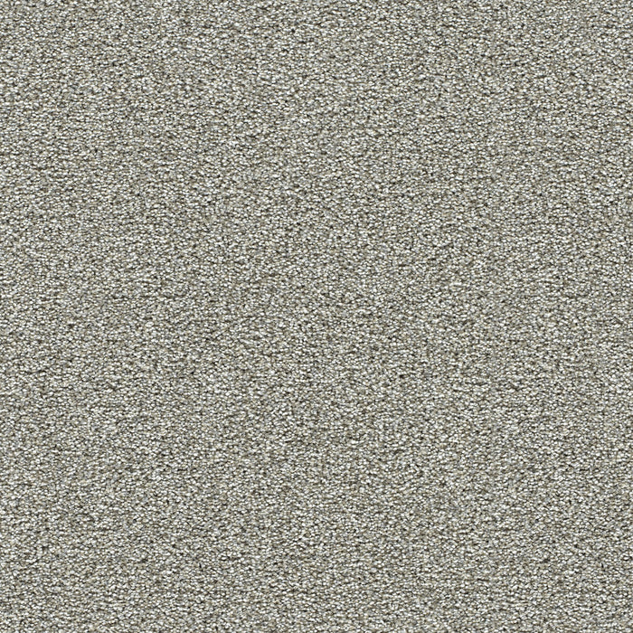 Breakview III Polyester Ambience 4565 Carpet Textured 1