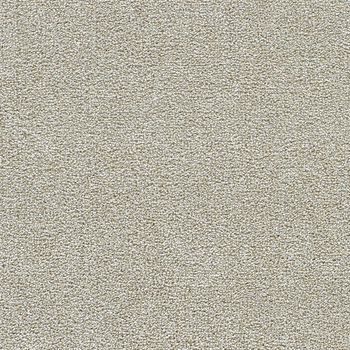 Breakview II Polyester Anaheim 4595 Carpet Textured 1