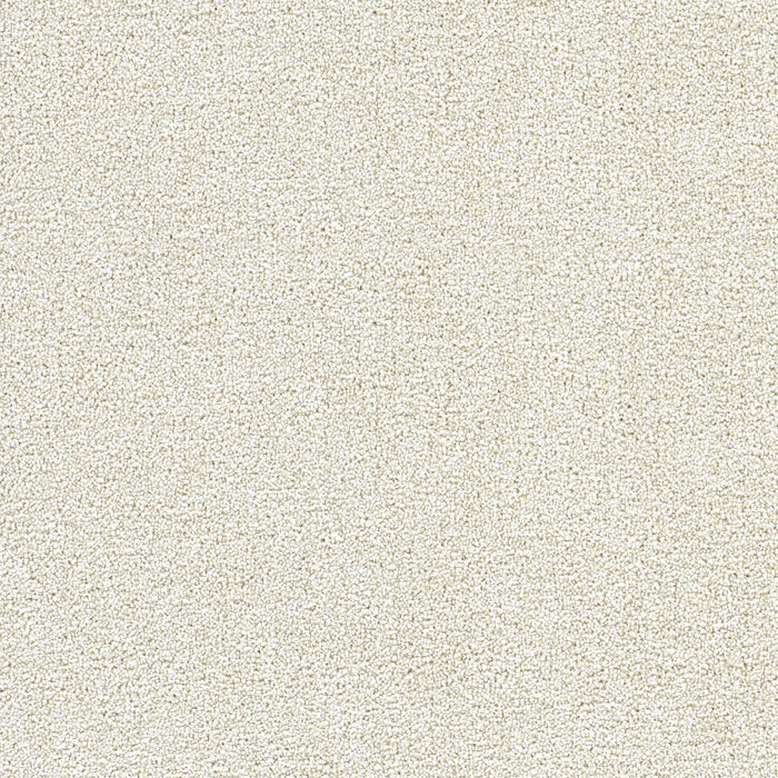 Breakview II Polyester Cuddle Up 4622 Carpet Textured 1