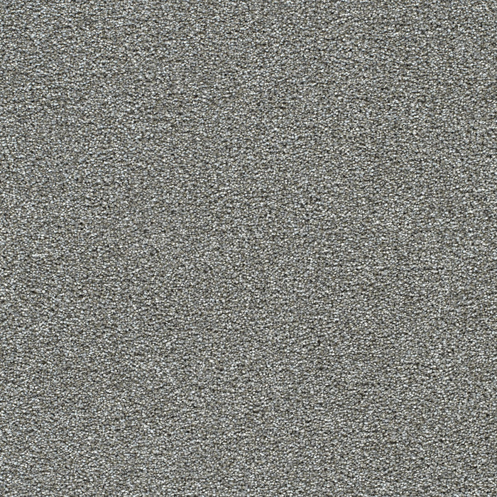 Breakview II Polyester Templeton 4633 Carpet Textured 1