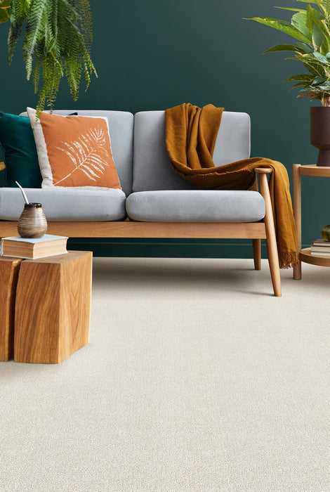 Breakview III Polyester Cuddle Up 4622 Carpet Textured 2