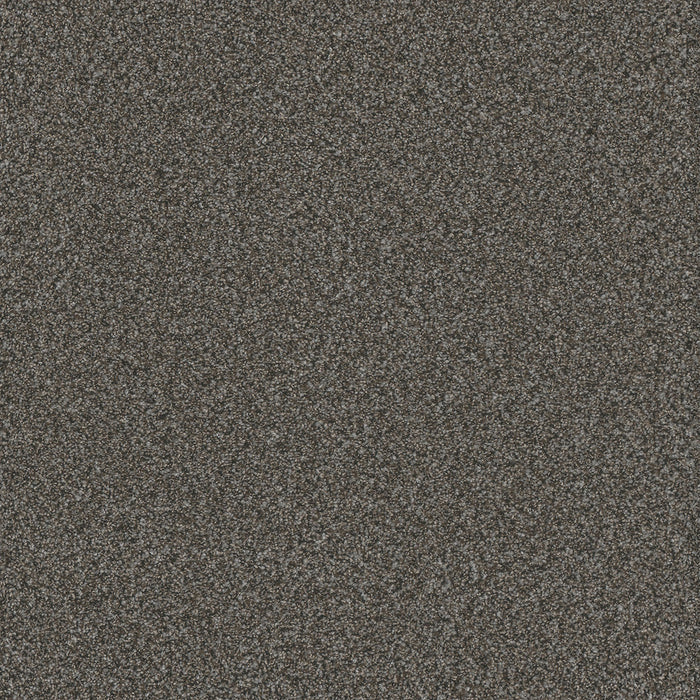 Titan I Polyester Pinehurst 132 Carpet Textured 1