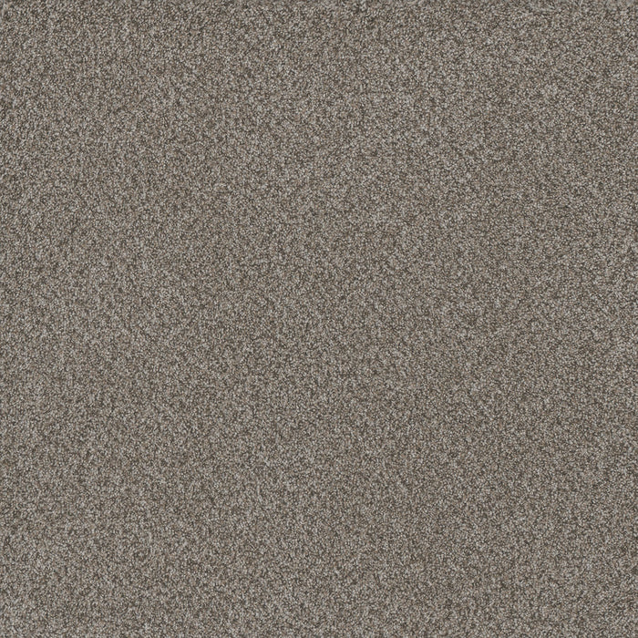 Titan II Polyester Oakland 143 Carpet Textured 1